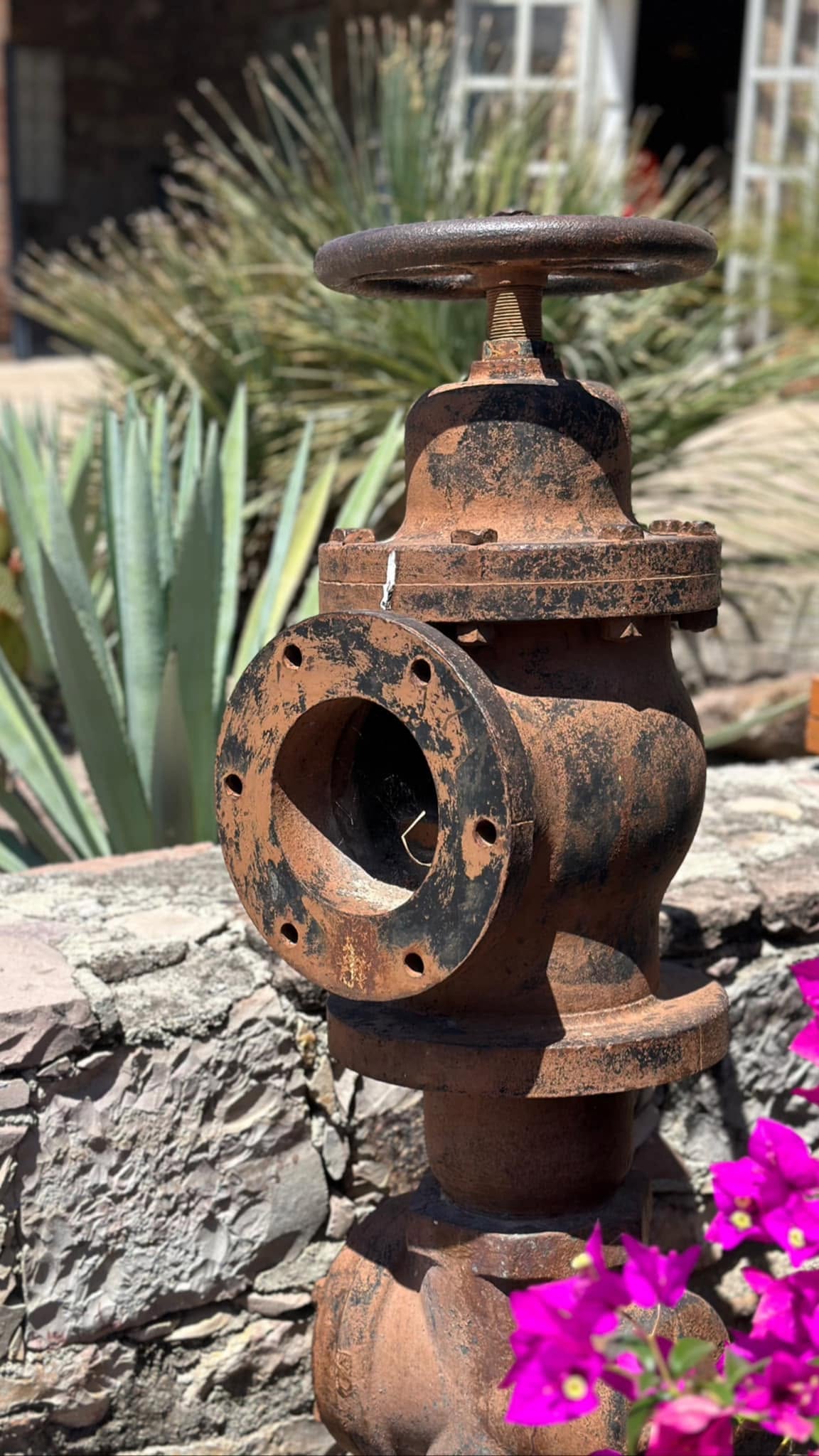 Pump Valve