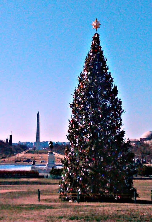 Christmas Tree DC
